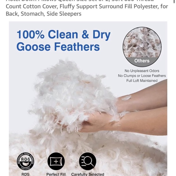 Goose feather and down pillows x2 - Picture 5 of 5